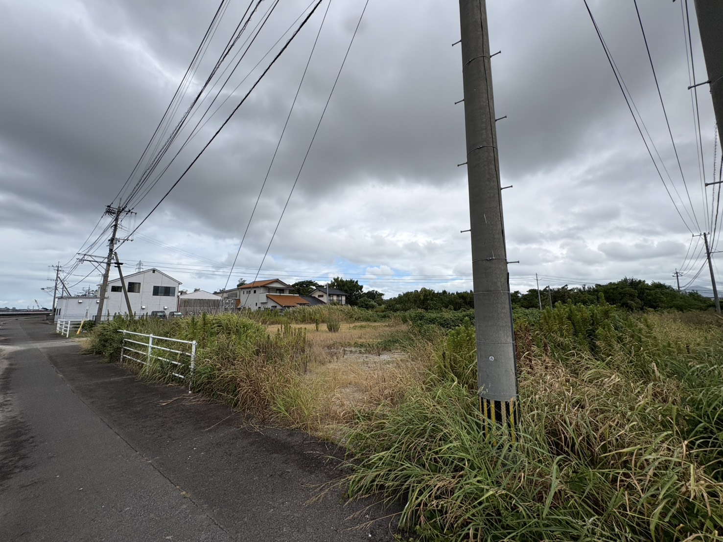 玉津の売土地と道路沿いの状況を写した現況写真